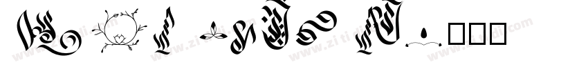 Euro Symbol字体转换